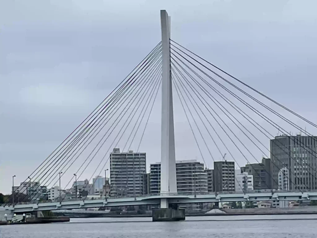 隅田川に架かる中央大橋の写真